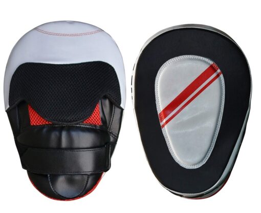 FOCUS MITT