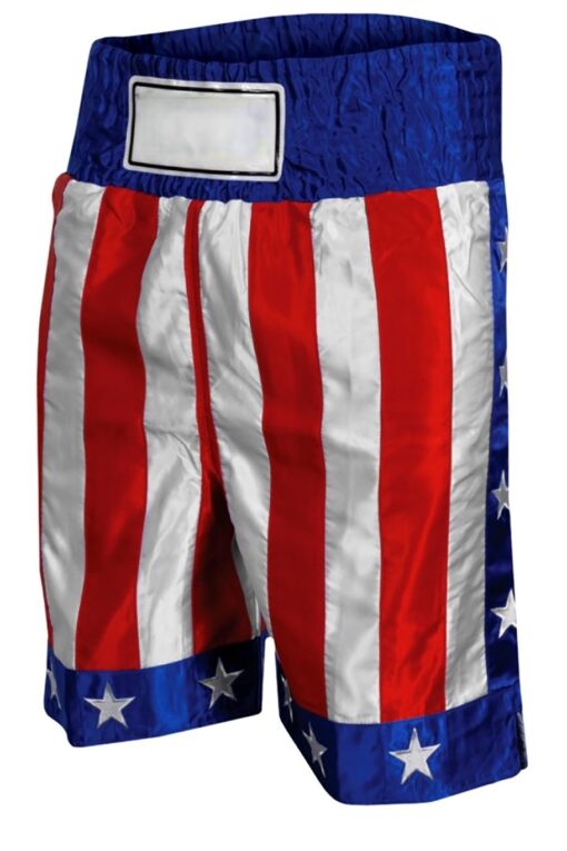 BOXING & THAI SHORTS