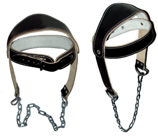 Fitness accessories