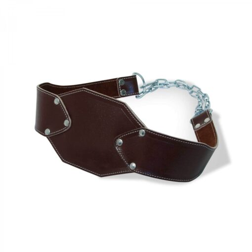 WEIGHTLIFTING DIP BELT